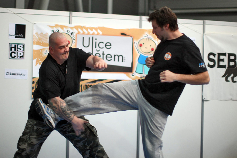 Na stánku Ulice dětem probíhaly demonstrace sebeobrany různými technikami