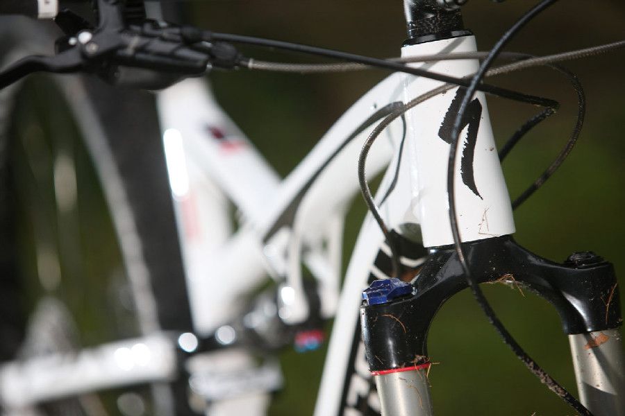 Specialized Camber EVO 29