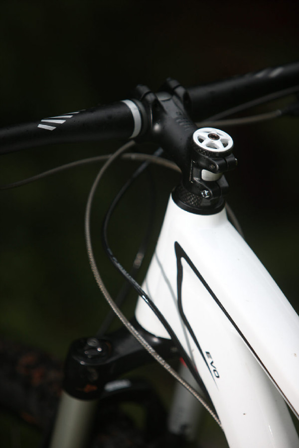 Specialized Camber EVO 29