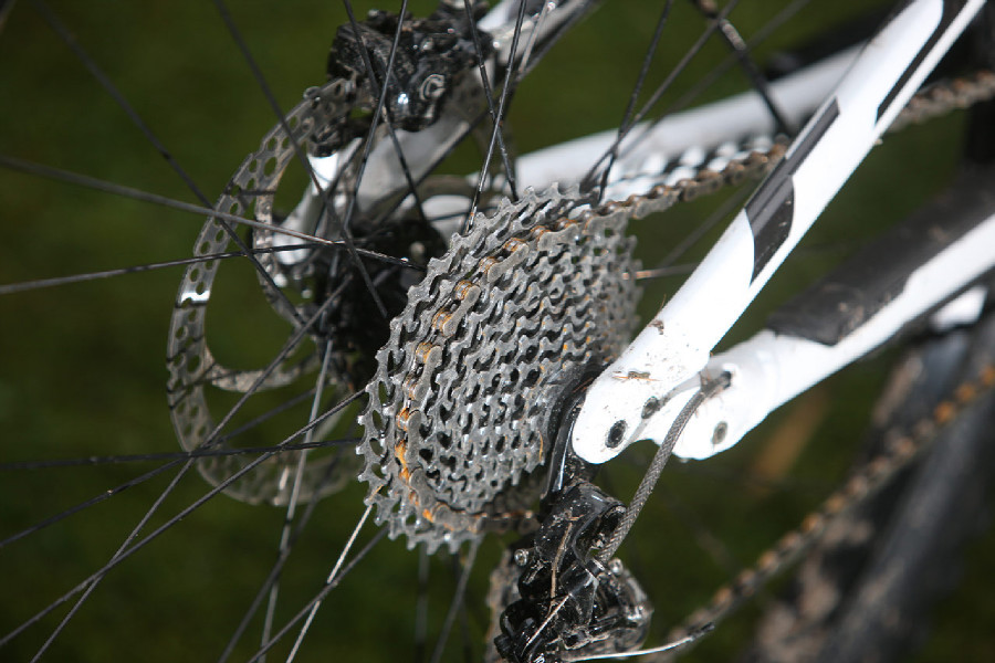 Specialized Camber EVO 29