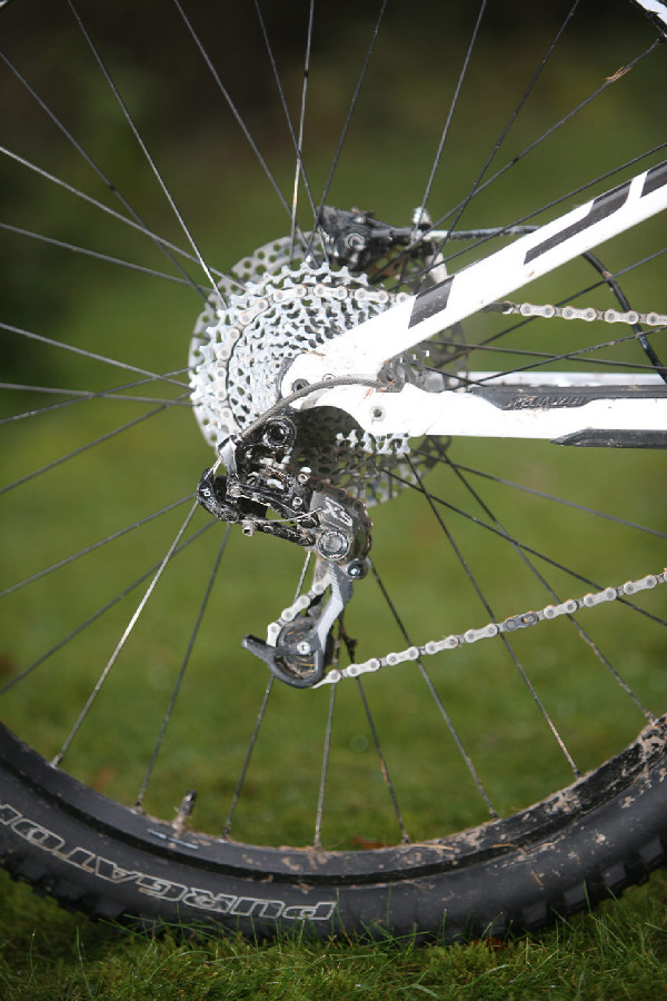 Specialized Camber EVO 29