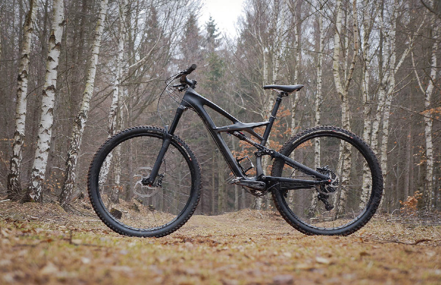 Specialized Enduro Carbon Expert 29"