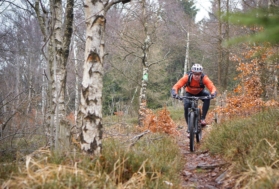 Specialized Enduro Carbon Expert 29"