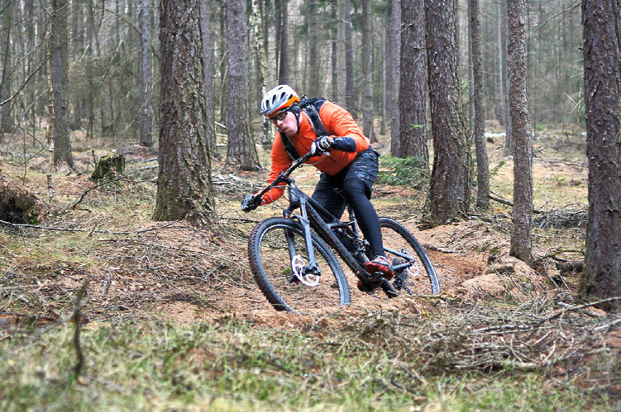Specialized Enduro Carbon Expert 29"