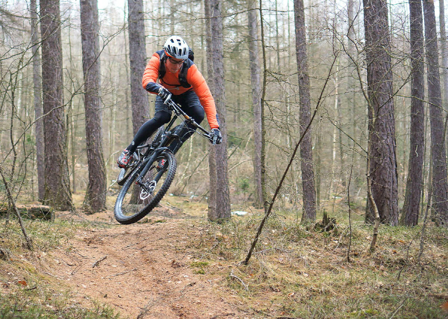 Specialized Enduro Carbon Expert 29"