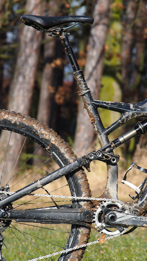 Specialized Enduro Carbon Expert 29"