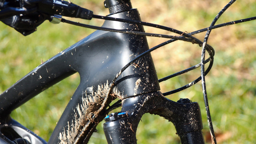 Specialized Enduro Carbon Expert 29"