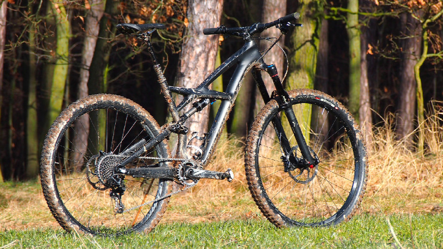 Specialized Enduro Carbon Expert 29"