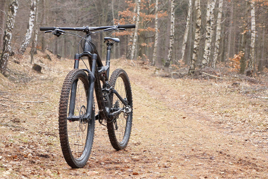 Specialized Enduro Carbon Expert 29"