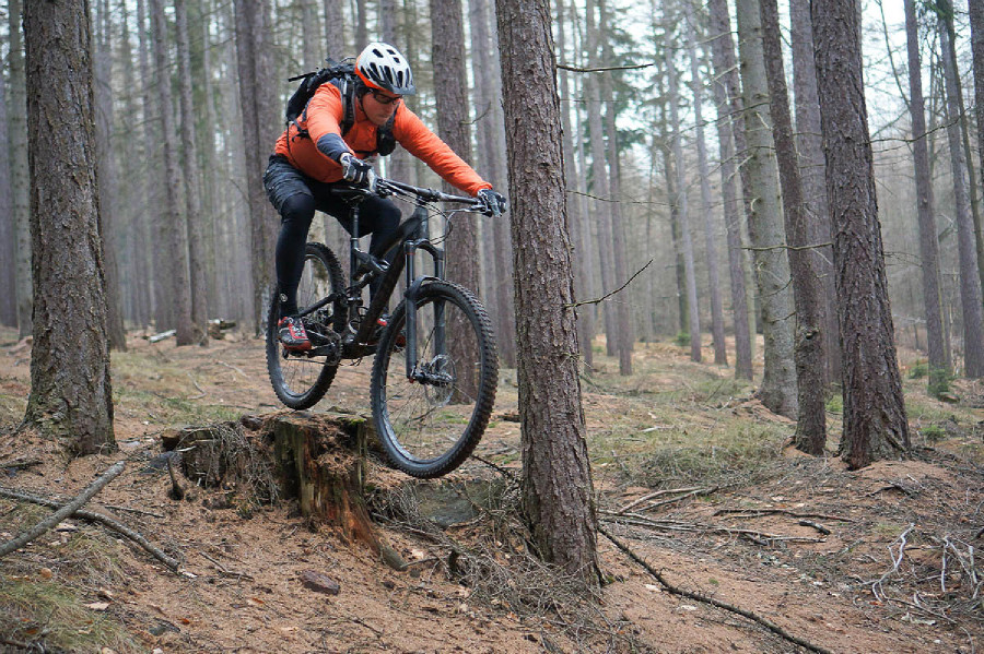 Specialized Enduro Carbon Expert 29"