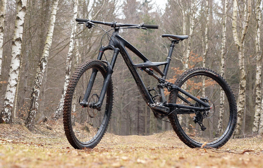 Specialized Enduro Carbon Expert 29"