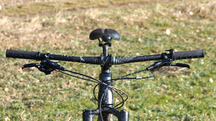 Specialized Enduro Carbon Expert 29"