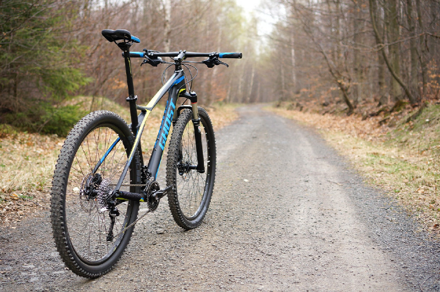 Ghost HTX Lector 2955