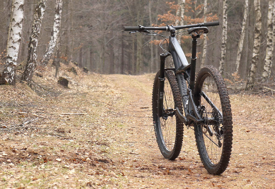 Specialized Enduro Carbon Expert 29"