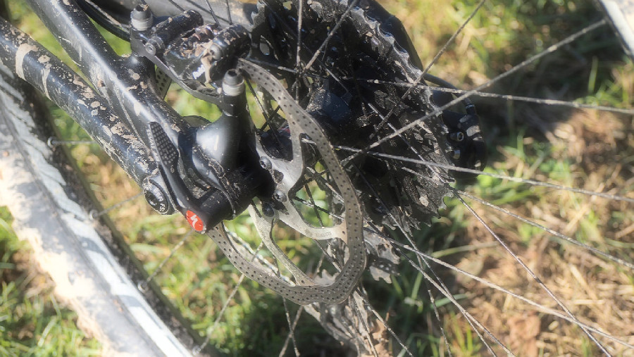 Specialized Enduro Carbon Expert 29"