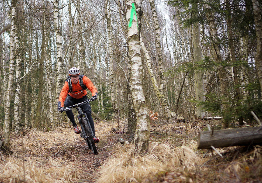 Specialized Enduro Carbon Expert 29"