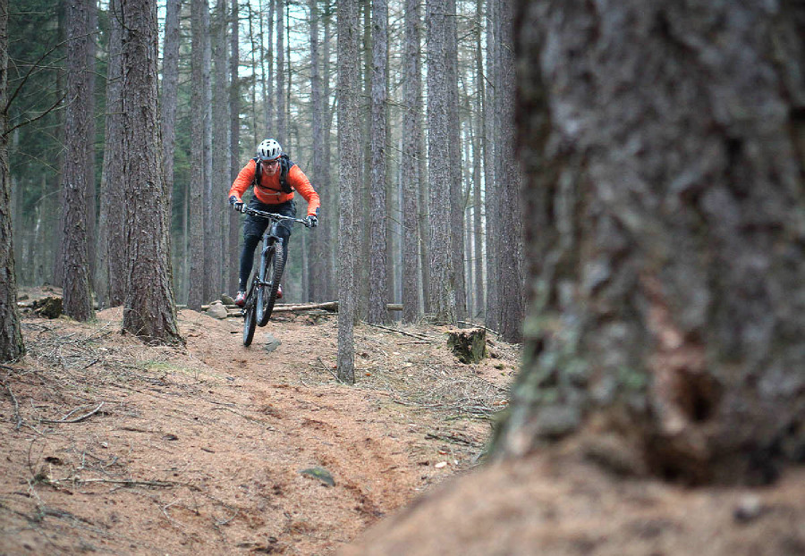 Specialized Enduro Carbon Expert 29"