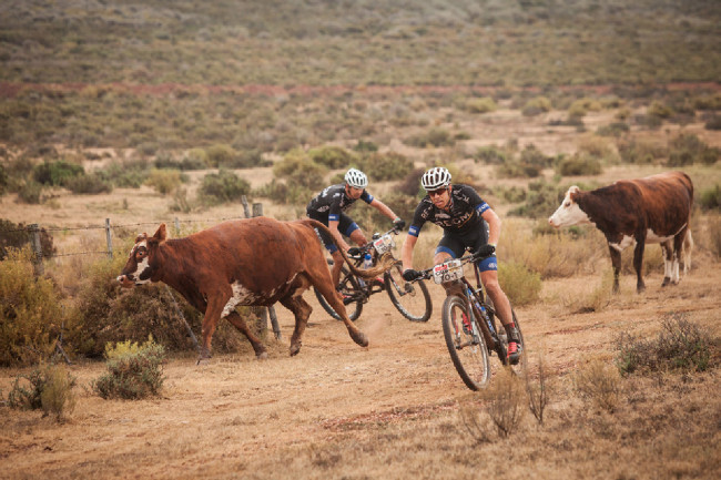 Cape Epic 2014