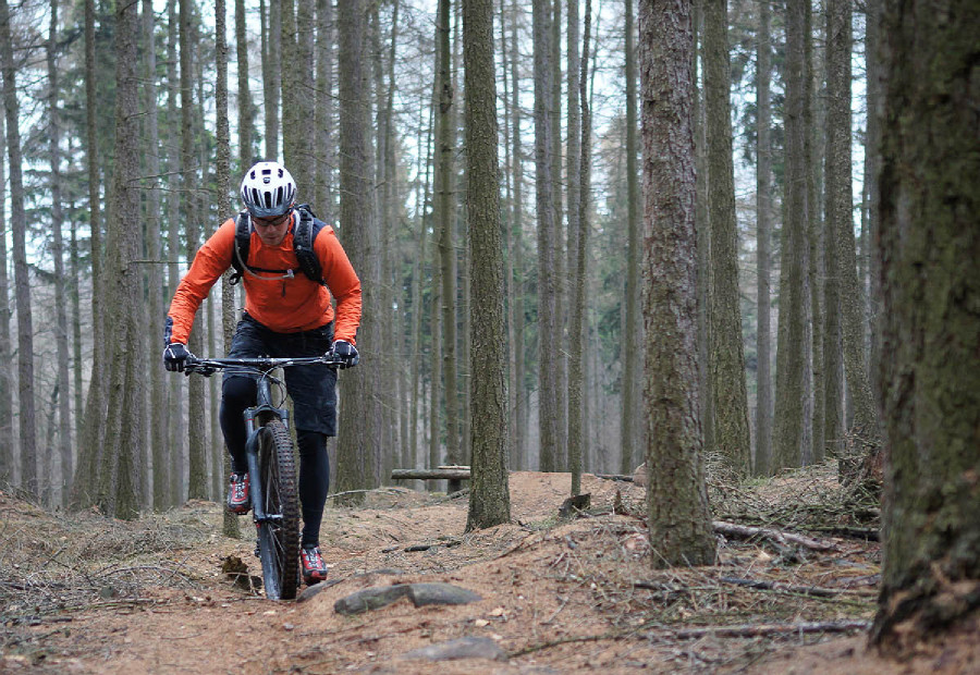 Specialized Enduro Carbon Expert 29"