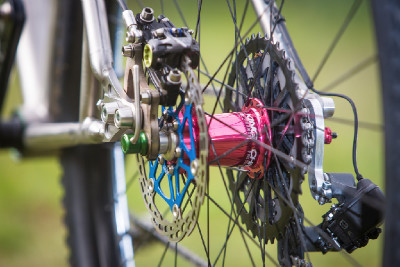 Kona Raijin Karly Štěpánové