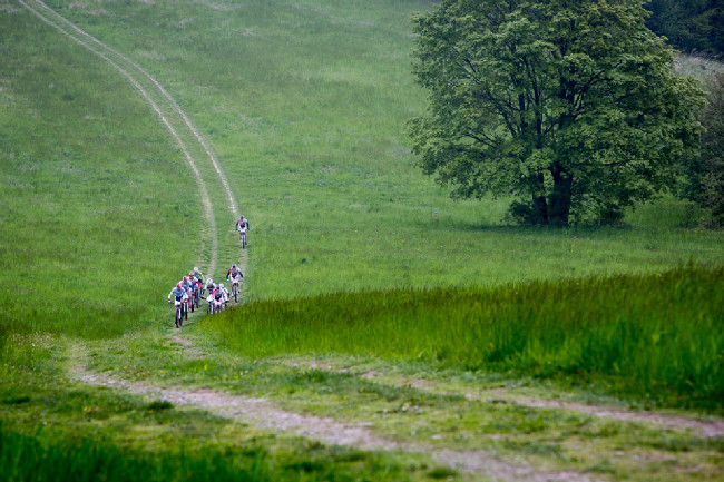 Author Šela Marathon 2014