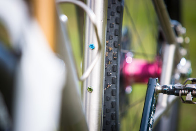 Kona Raijin Karly Štěpánové