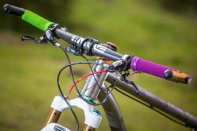 Kona Raijin Karly Štěpánové