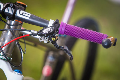 Kona Raijin Karly Štěpánové