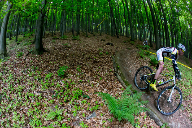 Author Šela Marathon 2014 