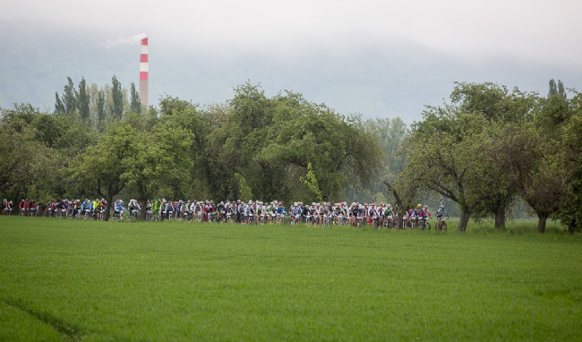 Author Šela Marathon 2014