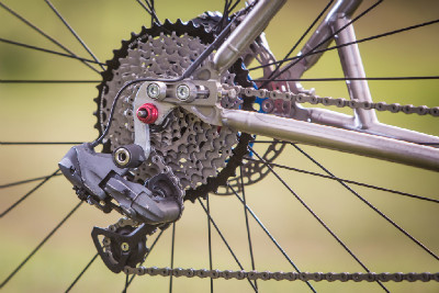 Kona Raijin Karly Štěpánové