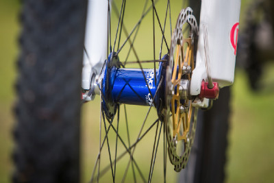 Kona Raijin Karly Štěpánové