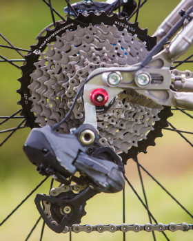 Kona Raijin Karly Štěpánové