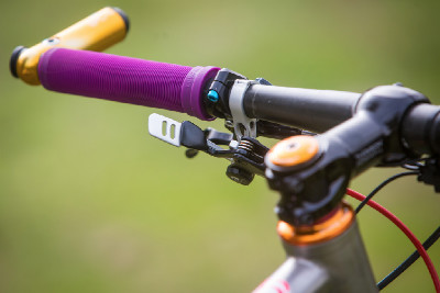 Kona Raijin Karly Štěpánové