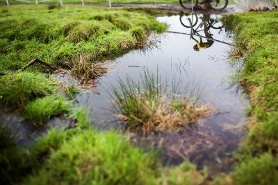 Český pohár XCO #2 - Bedřichov