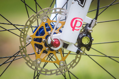 Kona Raijin Karly Štěpánové