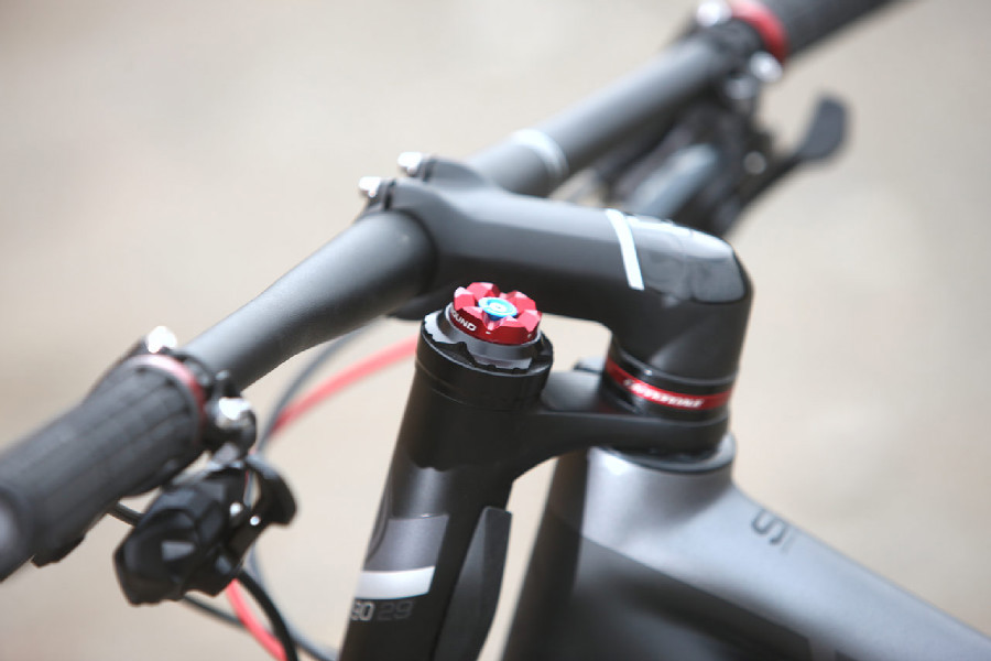 Cannondale F29 Carbon 3