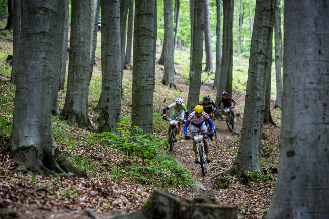 Author Šela Marathon 2014 - skupinka pronásledovatelů v čele s Michalem Bubílkem