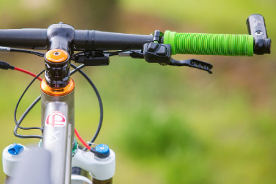 Kona Raijin Karly Štěpánové