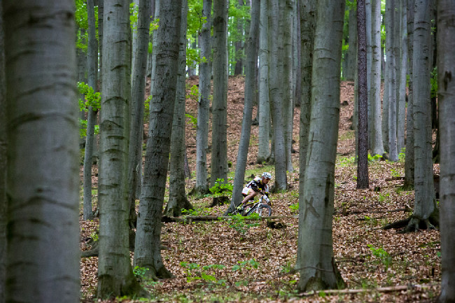 Author Šela Marathon 2014 - Václav Ježek se cítil silně ve sjezdech