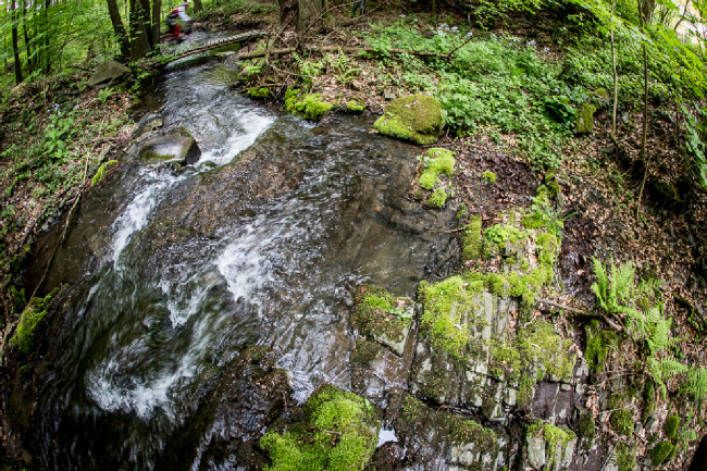 Author Šela Marathon 2014