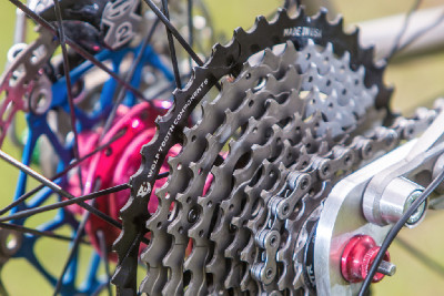 Kona Raijin Karly Štěpánové