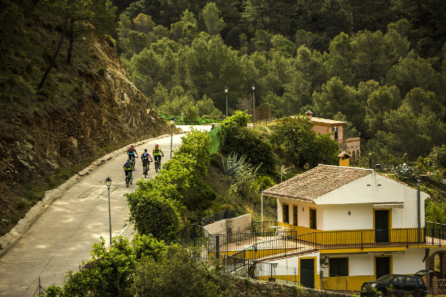 Cannondale Jekyll Team Carbon 2015