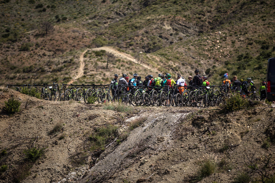 Cannondale Jekyll Team Carbon 2015