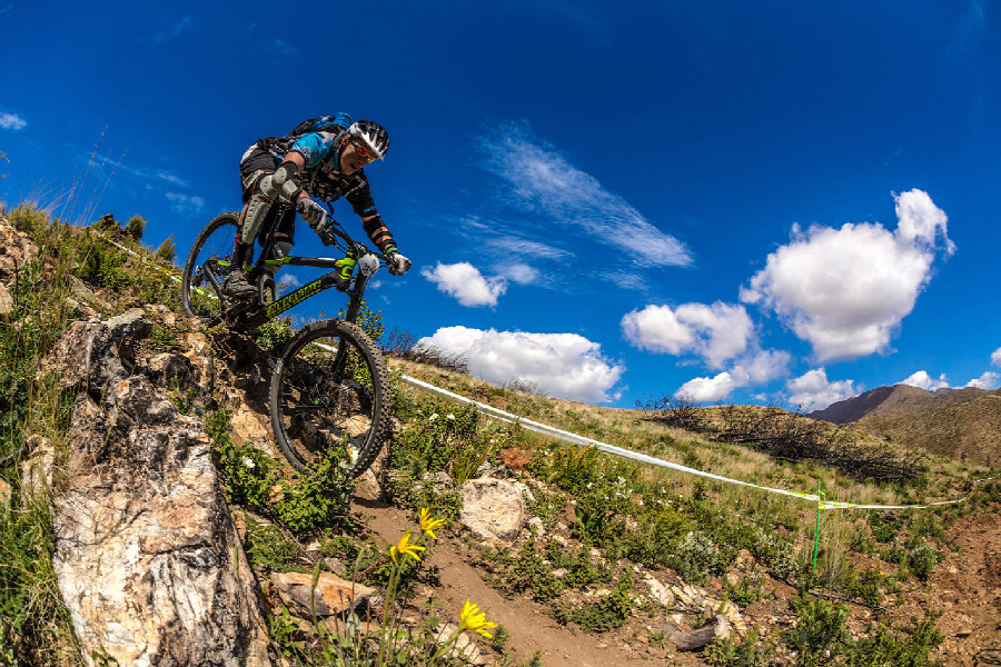 Cannondale Jekyll Team Carbon 2015