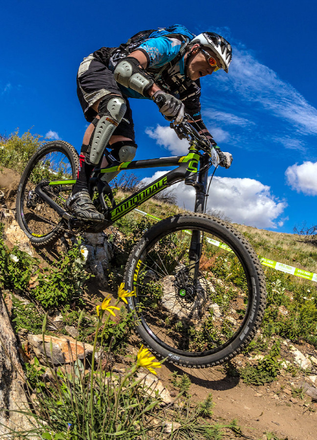 Cannondale Jekyll Team Carbon 2015