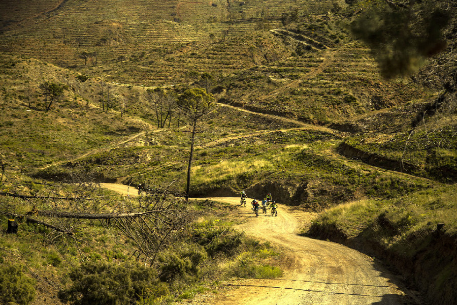 Cannondale Jekyll Team Carbon 2015