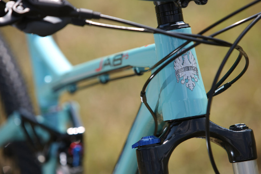 Bianchi 2015