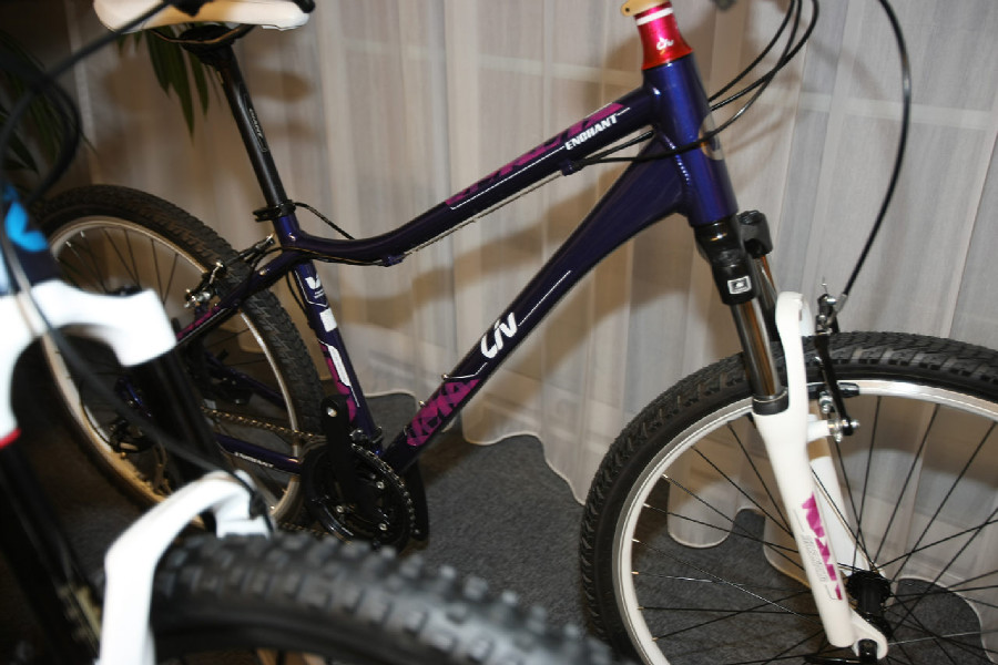 Giant 2015 prezentace