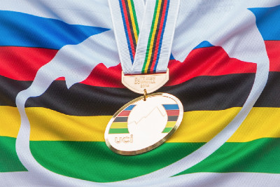 Mistrovství světa MTB DHI 2014